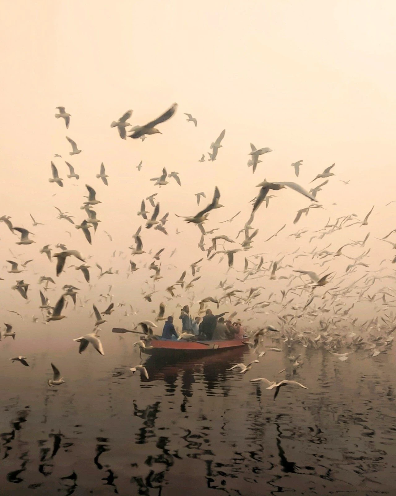 A boat moving through mist beneath a dense flight of birds, photographed by Priya Ojha