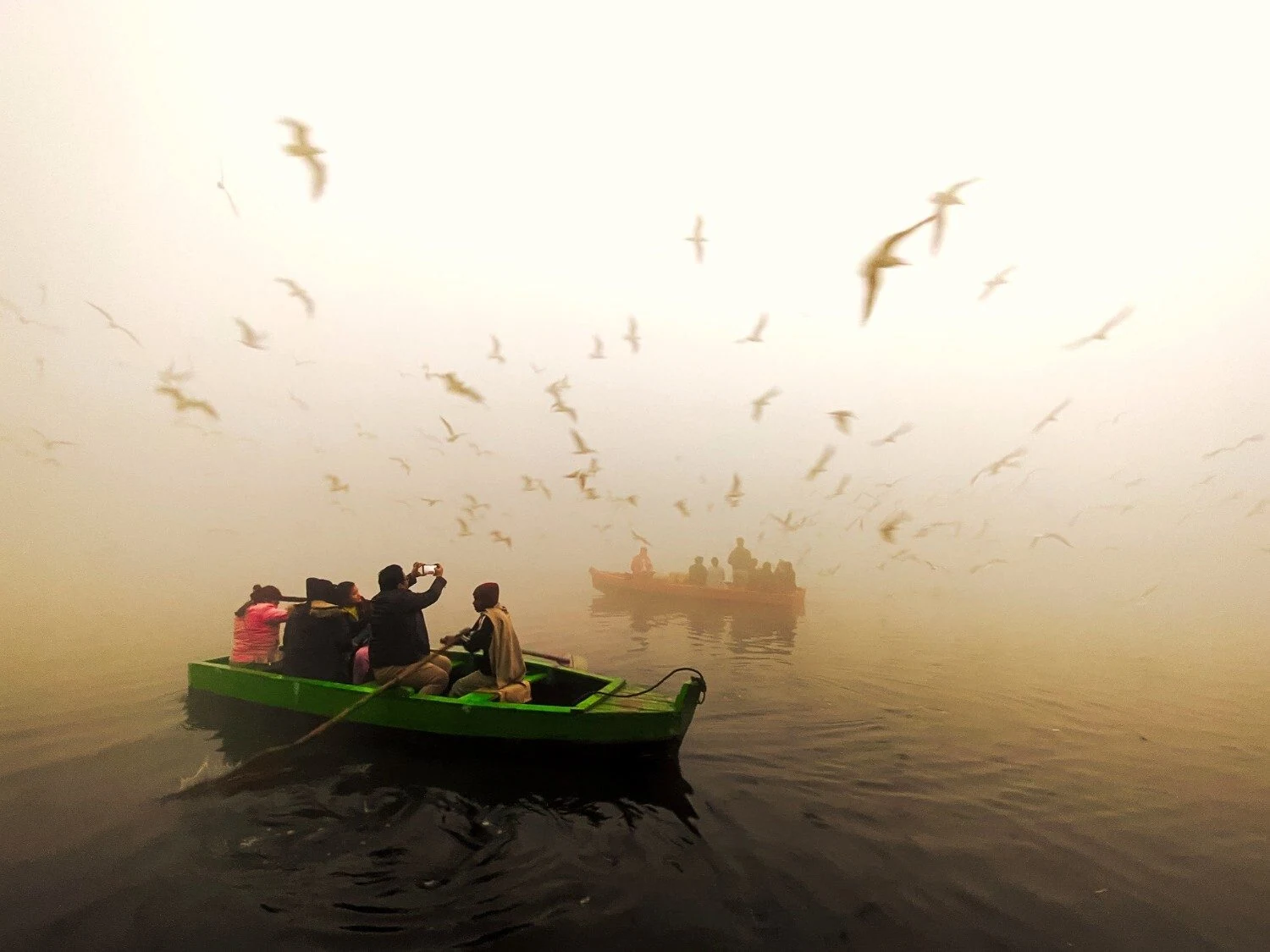 Two boats moving through golden mist and birds, photographed by Priya Ojha