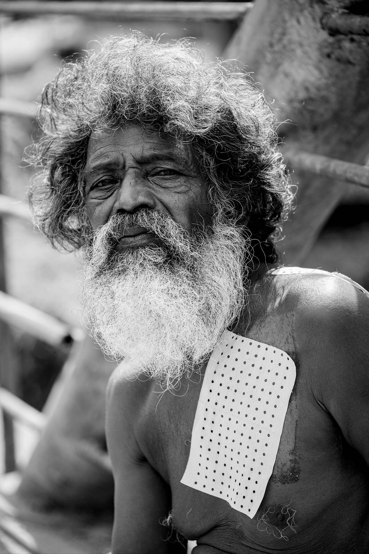 Portrait of an older man with a long white beard